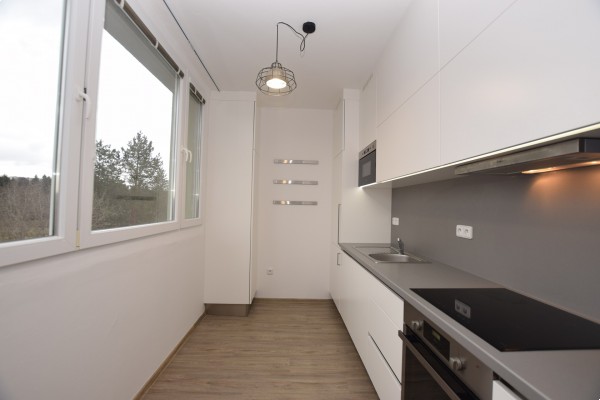 Pronájem bytu 3+1 s balkonem ul. Brožíkova, Brno - Lesná