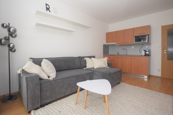 Pronájem bytu 1+kk, Brno – Královo Pole, ul. Božetěchova