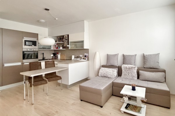 CIHLOVÝ BYT V BRNĚ K PRONÁJMU