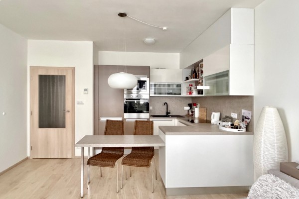 CIHLOVÝ BYT V BRNĚ K PRONÁJMU