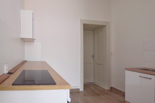 Pronájem 1+1 ul. Husovická, Brno - sever