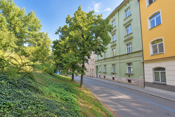 1+1, 36 m², ul. Husovická, Brno – sever